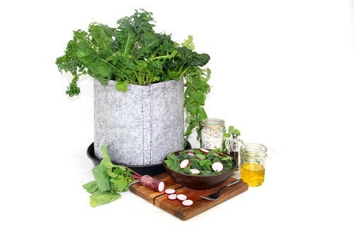 Intuitive Indoor Gardens
