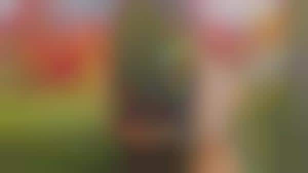 Social Media Story Updates
