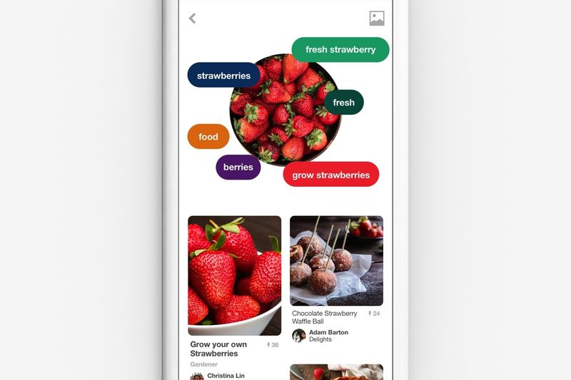 Food Recognition Apps