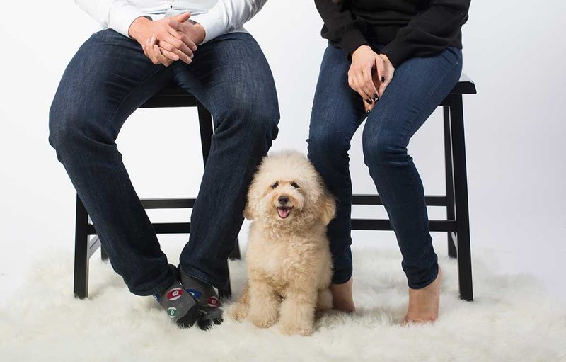 Customized Dog Food Subscriptions