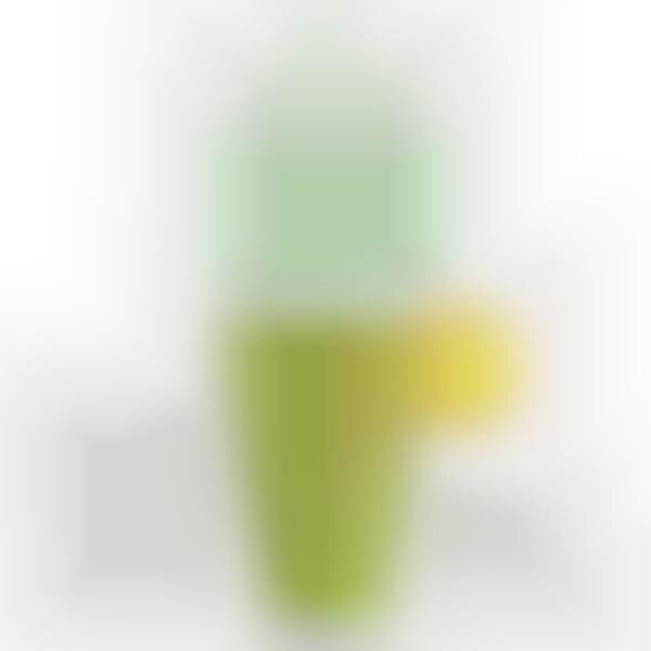 Fast Food Spinach Smoothies