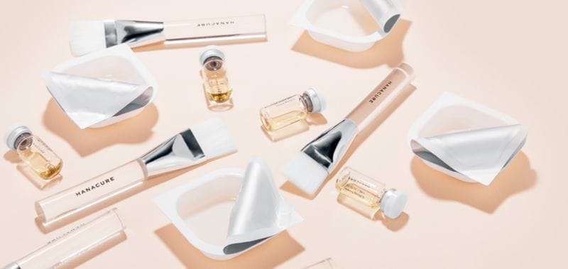 Botanical Mask Applicator Sets