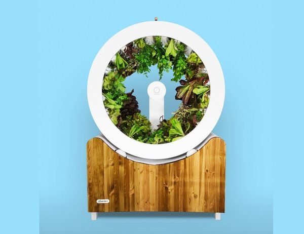 45 Indoor Gardening Systems