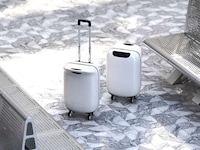 Penguin-Inspired Suitcases Image 3