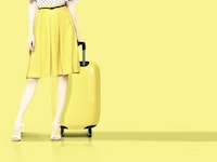 Penguin-Inspired Suitcases Image 6