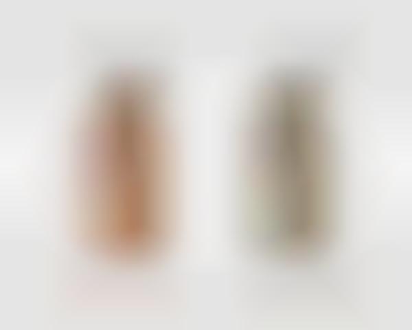 Pressurized Beer Growlers
