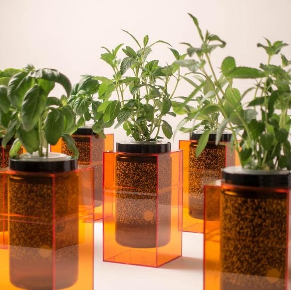 Top 85 Eco Ideas in June