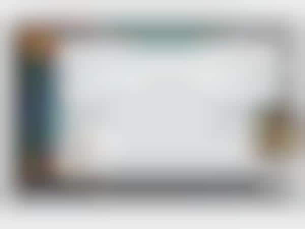Visitor-Identifying Software
