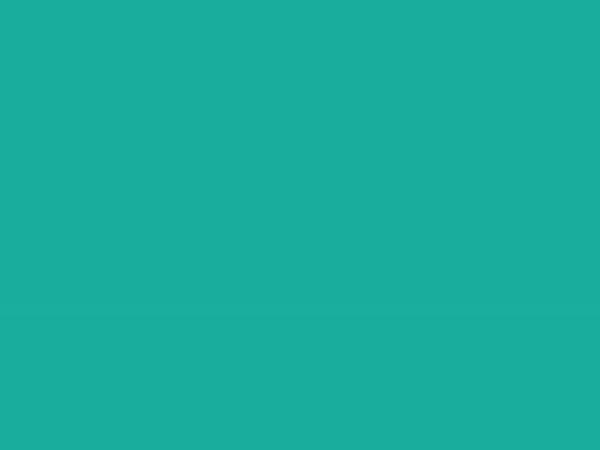 Ecommerce Bot Software Services