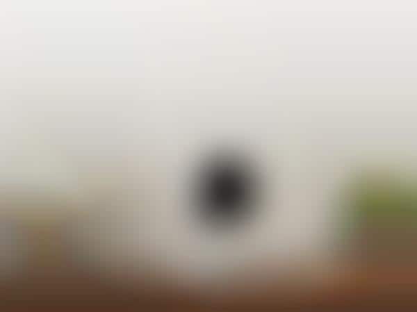 Facial Recognition Home Cameras