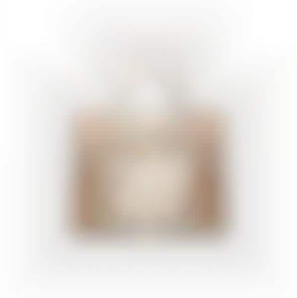 Record-Breaking Handbags