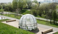 Public Medicinal Greenhouses Image 2