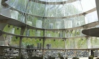 Public Medicinal Greenhouses Image 4