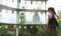 Public Medicinal Greenhouses Image 5