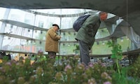 Public Medicinal Greenhouses Image 6