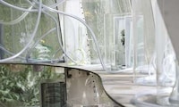 Public Medicinal Greenhouses Image 7