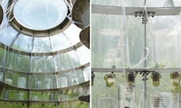 Public Medicinal Greenhouses Image 8