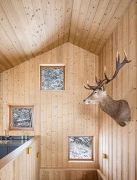 Minimalist Modern Chalets Image 8