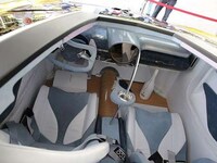 Fish-Friendly Electric Supercars Image 4