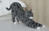 Toy Brick Pet Art Image 4