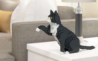 Toy Brick Pet Art Image 8