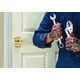Convenient Access Door Knobs Image 8
