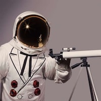 Astronomical Chicken Sandwiches Image 3
