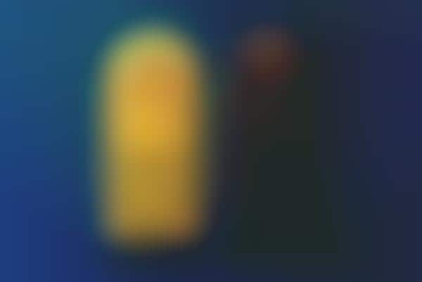 Animal-Shaped Digital Assistants