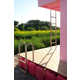 Satirical Pink Lifeguard Stands Image 8