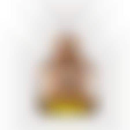 Nourishing Honey Serums