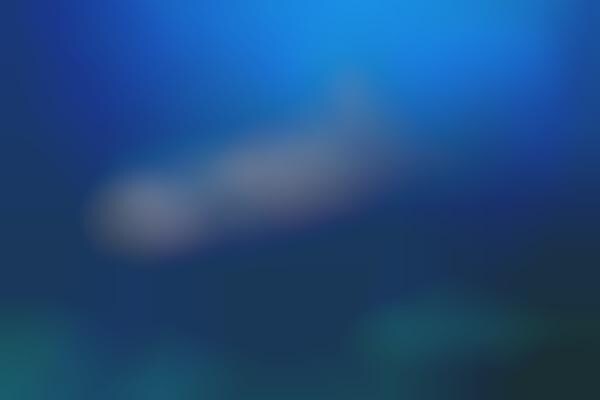 Luxury Passenger Submarines