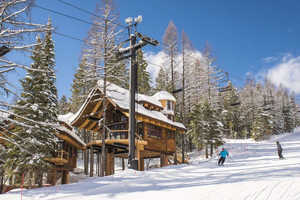 Ski-In Treehouse Chalets