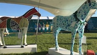 Dollar Store Derby Activations Image 8