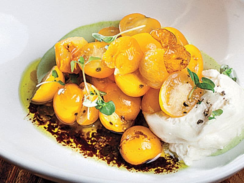 Cheese-Based Tomato Salads