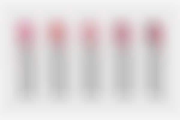Luxurious Two-Toned Lipsticks