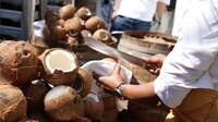 Whole Coconut Cocktails Image 5