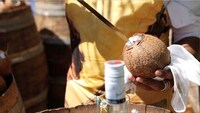 Whole Coconut Cocktails Image 6