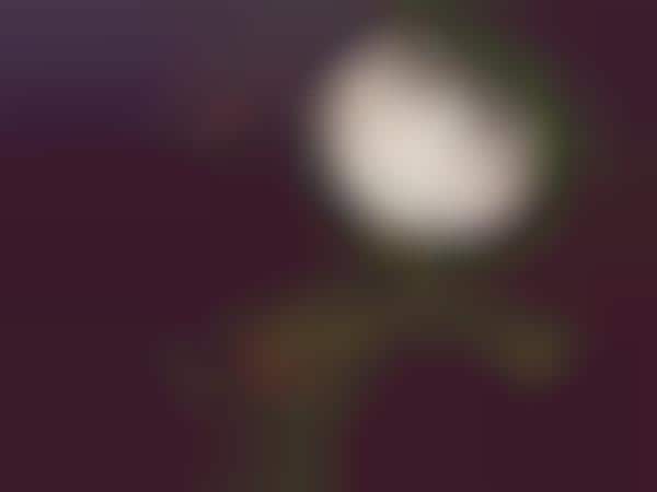 Moon-Replicating Installations