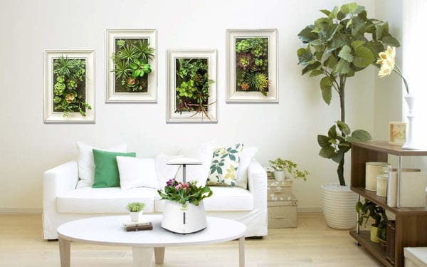 Top 90 Eco Ideas in July