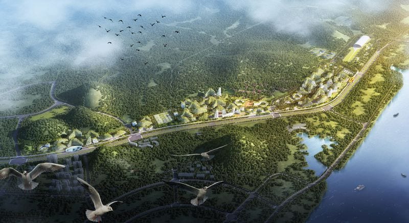 Vertical Forest Cities