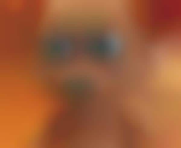 Interactive Bear Toys