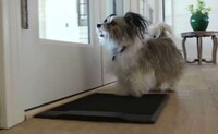 Canine Notification Mats Image 4