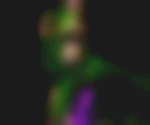 Fiber Optic Display Whips
