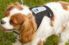 Canine Stress-Reducing Harnesses