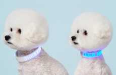LED Dog Collars