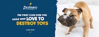 Toy-Destroying Dog Clubs Image 3