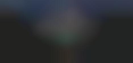 Automated Photography-Sharing Bots