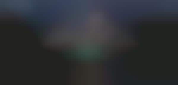 Automated Photography-Sharing Bots
