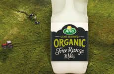 Sustainability-Focused Milks