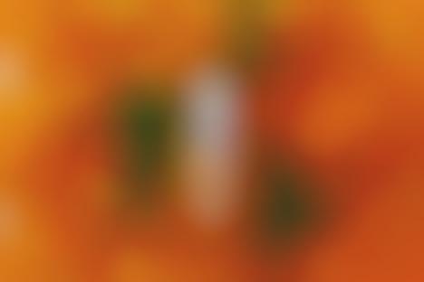 Vrai is a Collection of Refreshing, Vodka-Based Beverages